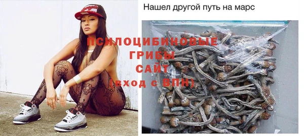 прущие крисы Нязепетровск