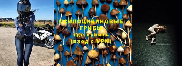 ALPHA PVP Новозыбков