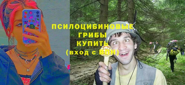 соль ск Осташков