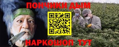 прущие грибы Абакан